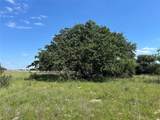 495 Fm 2005 - Photo 30