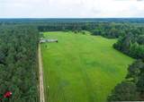 555 Thomasville Road - Photo 31