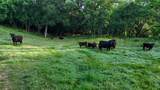 1148 County Road 1591 - Photo 32