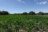 30495 State Highway 6 - Photo 23