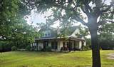 3851 County Road 156 Road - Photo 1