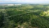 13100 Us 281 North - Photo 12