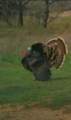 13100 Us 281 North - Photo 4