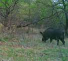 13100 Us 281 North - Photo 5