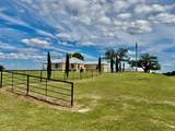 1147 County Road 163 - Photo 1