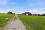 8229 Farm Road 905 - Photo 23
