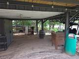 305 Chavez Trail - Photo 17