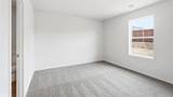 3519 Spring Time Street - Photo 15