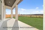 4341 Lamplights Drive - Photo 17