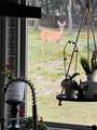 124 Bluffview Circle - Photo 40