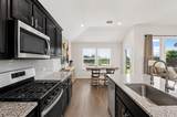 752 Ruellia Street - Photo 10