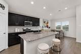 752 Ruellia Street - Photo 12