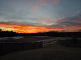 752 Ruellia Street - Photo 28