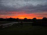 752 Ruellia Street - Photo 3