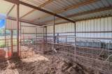 314 County Road 3585 - Photo 9