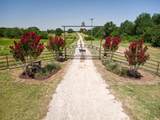5562 County Road 1037 - Photo 1