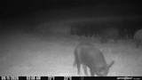 11400 Fm-321 - Photo 38