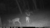 11400 Fm-321 - Photo 39