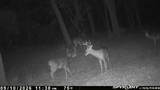 11400 Fm-321 - Photo 40