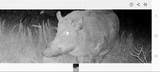 3828 Fm 219 - Photo 10