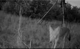 3828 Fm 219 - Photo 12