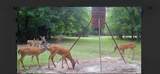13494 County Road 2919 - Photo 37