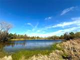 3005 Us Highway 77 - Photo 7
