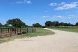 331 County Road 156A - Photo 16