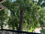 4107 Esters Road - Photo 14