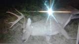 0000 Cr 2374 - Photo 23