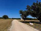 25300 State Highway 279 - Photo 34
