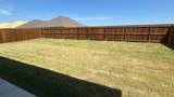 505 Carthage Street - Photo 14