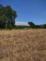 461 County Road 309 - Photo 5
