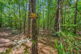 2346 County Road 4284 - Photo 4