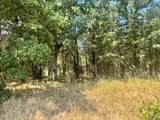 TBD Pine Hills Lane - Photo 2