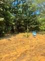 TBD Pine Hills Lane - Photo 4