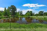 9347 Highway 3 - Photo 12