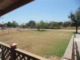 906 Blanco Street - Photo 8