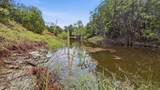 2155 County Road 197 - Photo 26