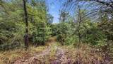 2155 County Road 197 - Photo 29