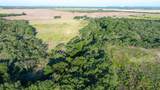 817 State Highway 153 - Photo 29