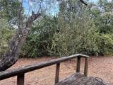 1302 Pamela Drive - Photo 25