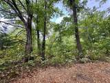 TBD Lot 21 Cr 3356 - Photo 8