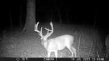 TBD Pr 8263 - Photo 4