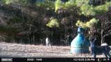 3055 Fm 194 - Photo 24