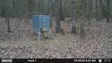 3055 Fm 194 - Photo 26