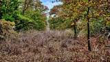 TBD Dixie School Road - Photo 20