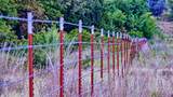 TBD Dixie School Road - Photo 25
