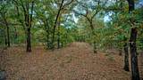 TBD Dixie School Road - Photo 4