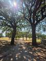 181 Nocona Drive - Photo 2